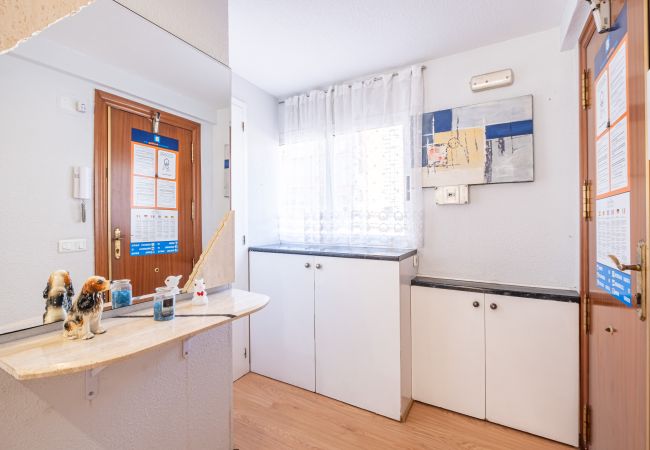 Estudio en Benidorm - Albatros 2-6 Estudio Levante Beach Estudio en Benidorm - Albatros 2-6 Estudio Levante Beach