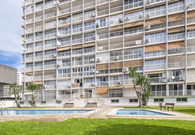 Estudio en Benidorm - Albatros 2-6 Estudio Levante Beach Estudio en Benidorm - Albatros 2-6 Estudio Levante Beach