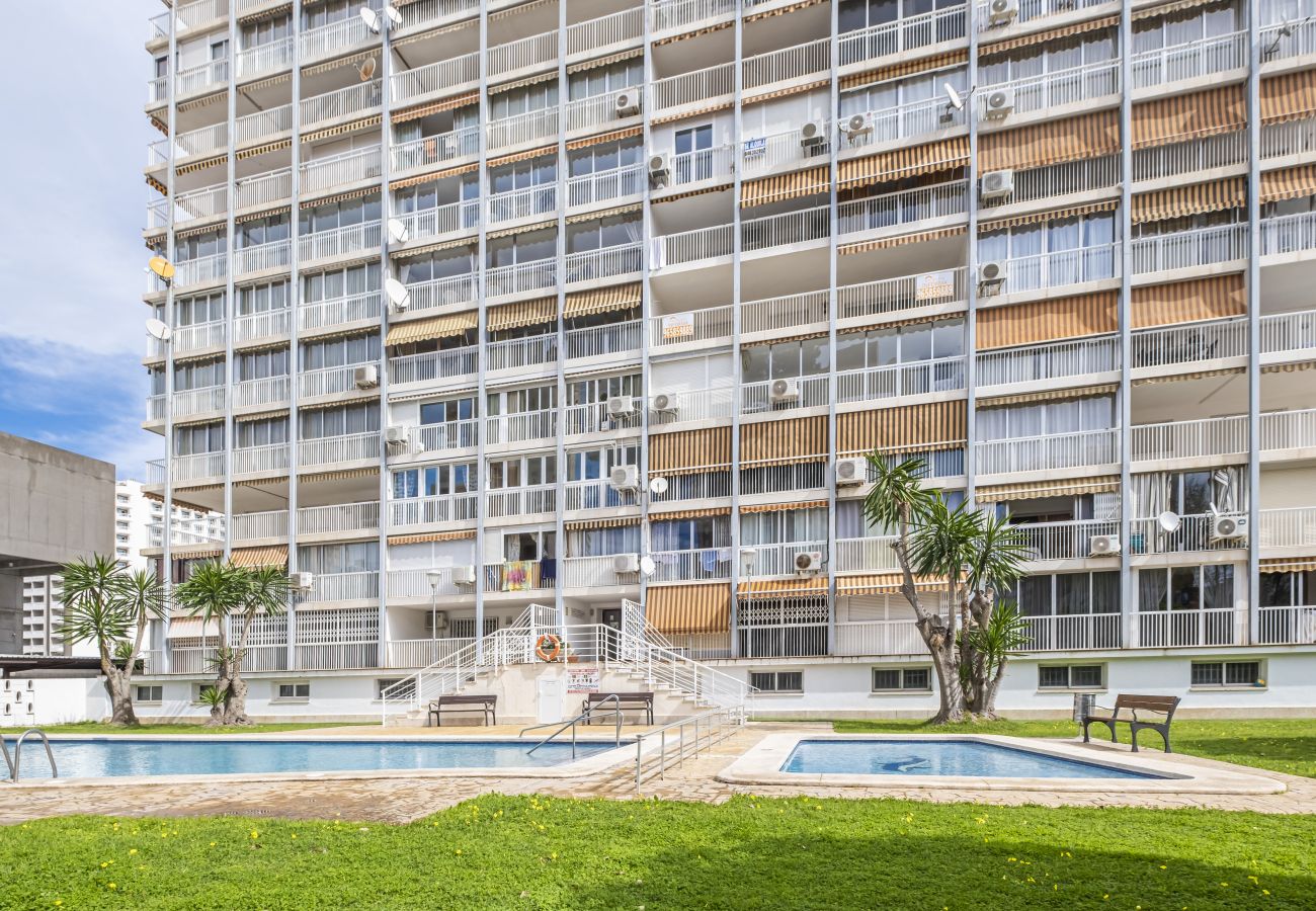 Estudio en Benidorm - Albatros 2-6 Estudio Levante Beach Estudio en Benidorm - Albatros 2-6 Estudio Levante Beach