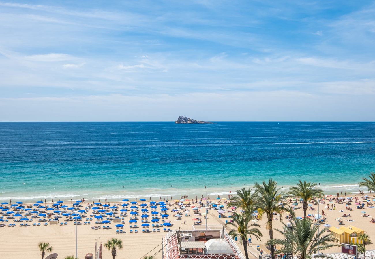 Apartamento en Benidorm -  Acintur Apartment Levante Beach-Old Town Apartamento en Benidorm -  Acintur Apartment Levante Beach-Old Town