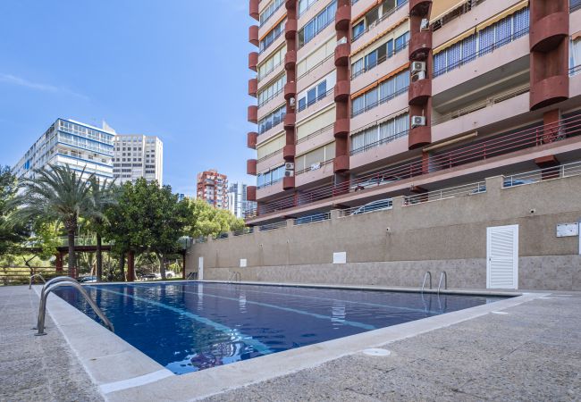 Apartamento en Benidorm - Don Miguel 4-F Apartment Levante Beach Apartamento en Benidorm - Don Miguel 4-F Apartment Levante Beach
