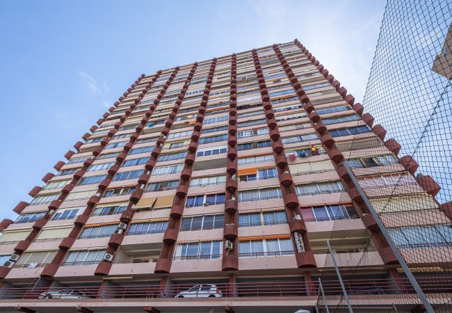 Apartamento en Benidorm - Don Miguel 4-F Apartment Levante Beach Apartamento en Benidorm - Don Miguel 4-F Apartment Levante Beach