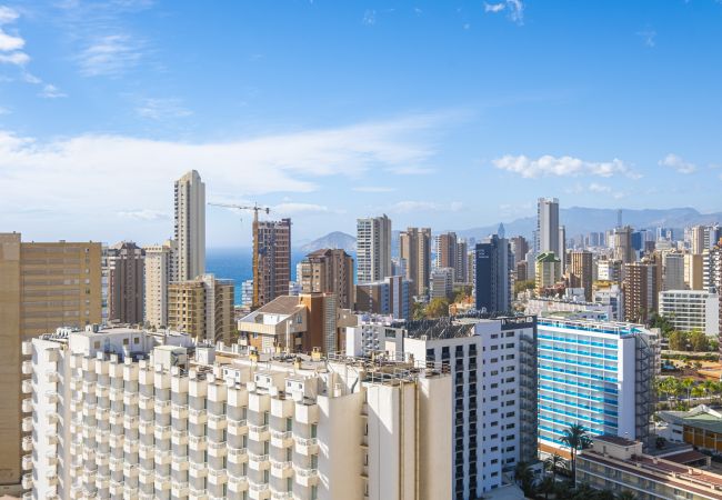 Apartamento en Benidorm -  Acuarium 3-19-E Apartment Levante Beach Apartamento en Benidorm -  Acuarium 3-19-E Apartment Levante Beach