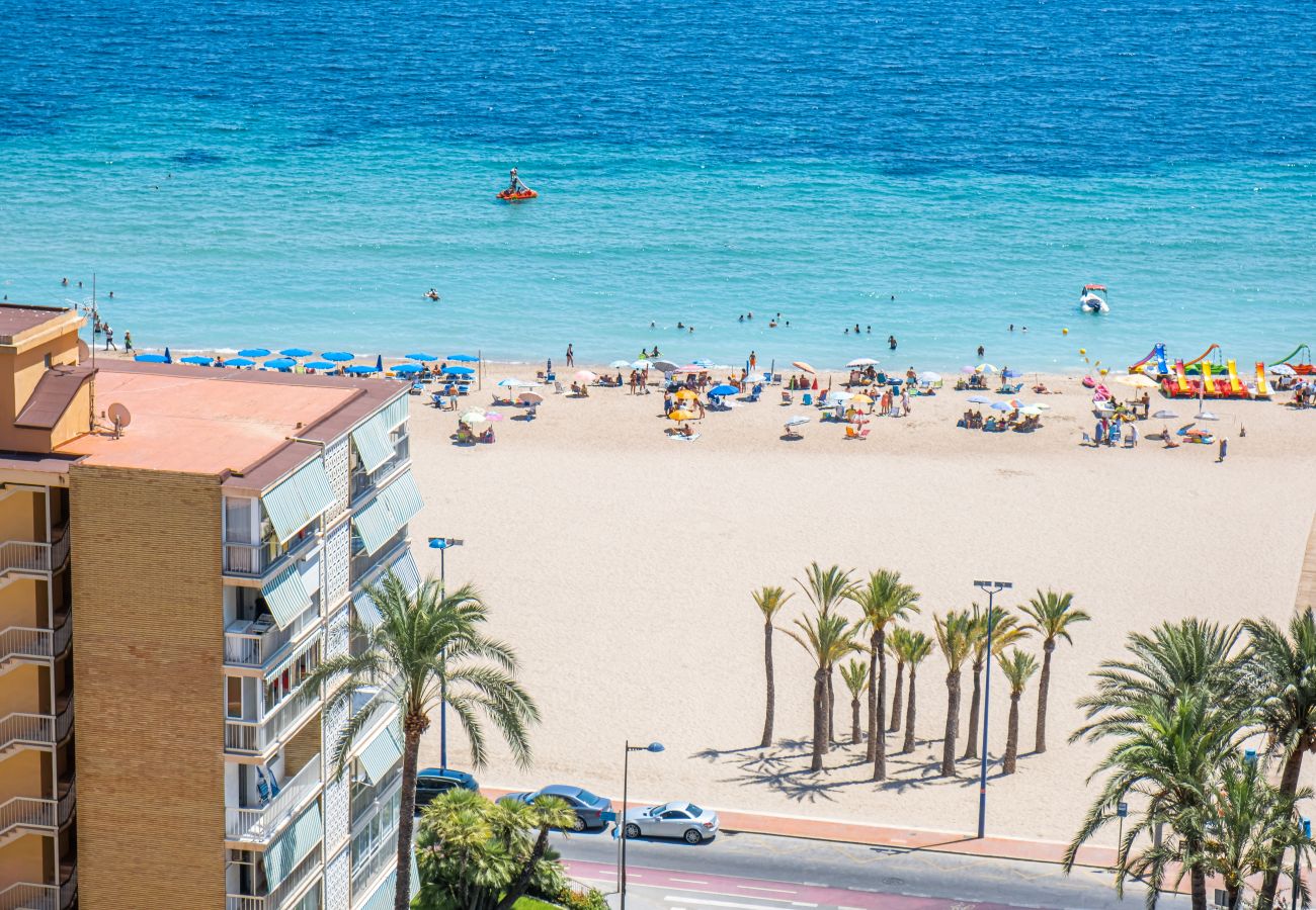 Apartamento en Benidorm - Atico Eolo Apartamento en Benidorm - Atico Eolo