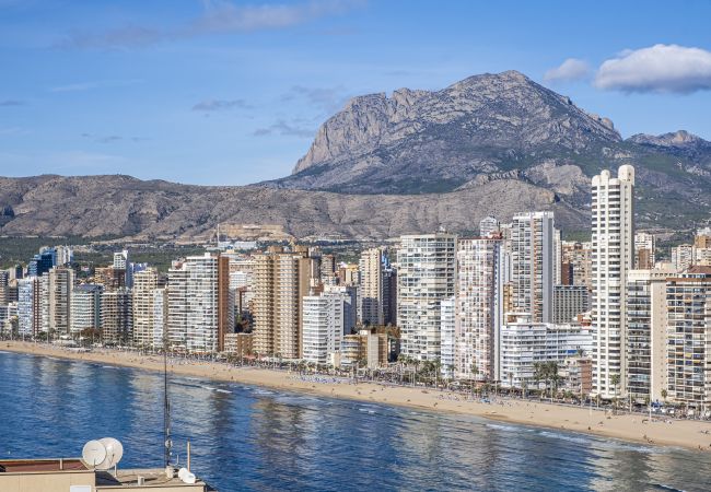 Apartamento en Benidorm -  Trinisol Apartment Sea Views 6E Levante Beach Apartamento en Benidorm -  Trinisol Apartment Sea Views 6E Levante Beach