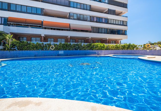 Apartamento en Benidorm -  Trinisol Apartment Sea Views 6E Levante Beach Apartamento en Benidorm -  Trinisol Apartment Sea Views 6E Levante Beach