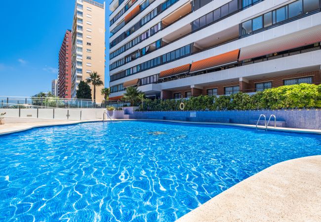 Apartamento en Benidorm -  Trinisol Apartment Sea Views 6E Levante Beach Apartamento en Benidorm -  Trinisol Apartment Sea Views 6E Levante Beach