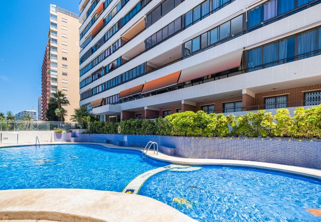 Apartamento en Benidorm -  Trinisol Apartment Sea Views 6E Levante Beach Apartamento en Benidorm -  Trinisol Apartment Sea Views 6E Levante Beach