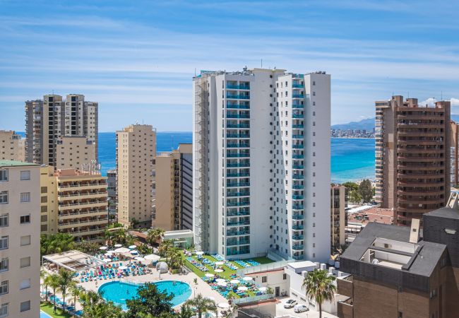 Apartamento en Benidorm -  Europa Center 12-B Apartment Levante Beach