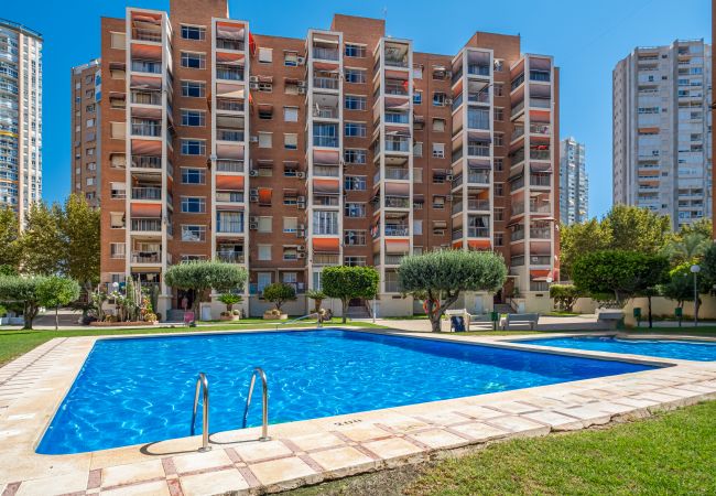 Apartamento en Benidorm - Etxezuri I 6-D Apartment Levante Beach