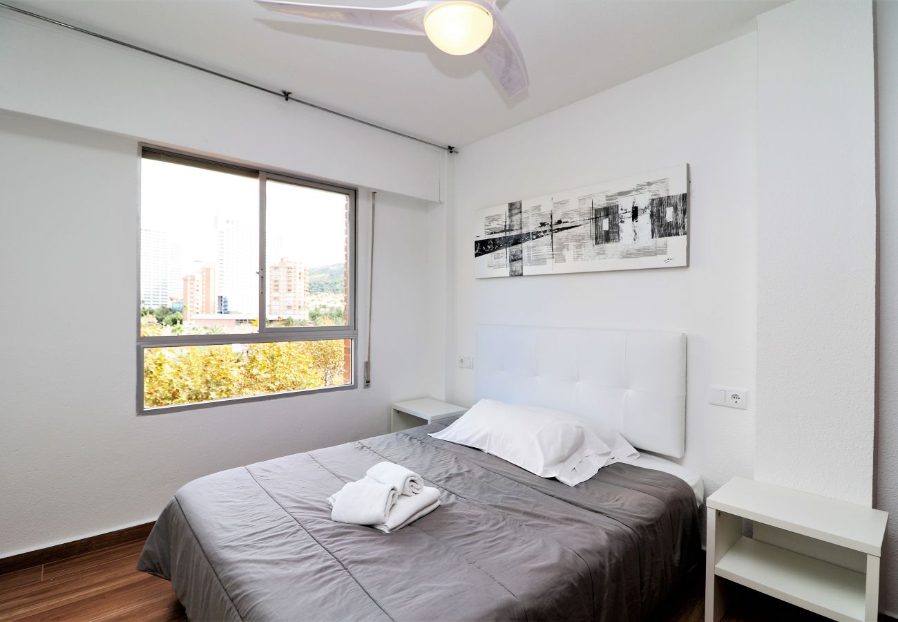 Apartamento en Benidorm - Etxezuri I 6-D Apartment Levante Beach Apartamento en Benidorm - Etxezuri I 6-D Apartment Levante Beach