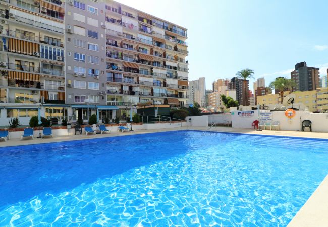 Apartamento en Benidorm - Bermudas 313 Apartamento en Benidorm - Bermudas 313