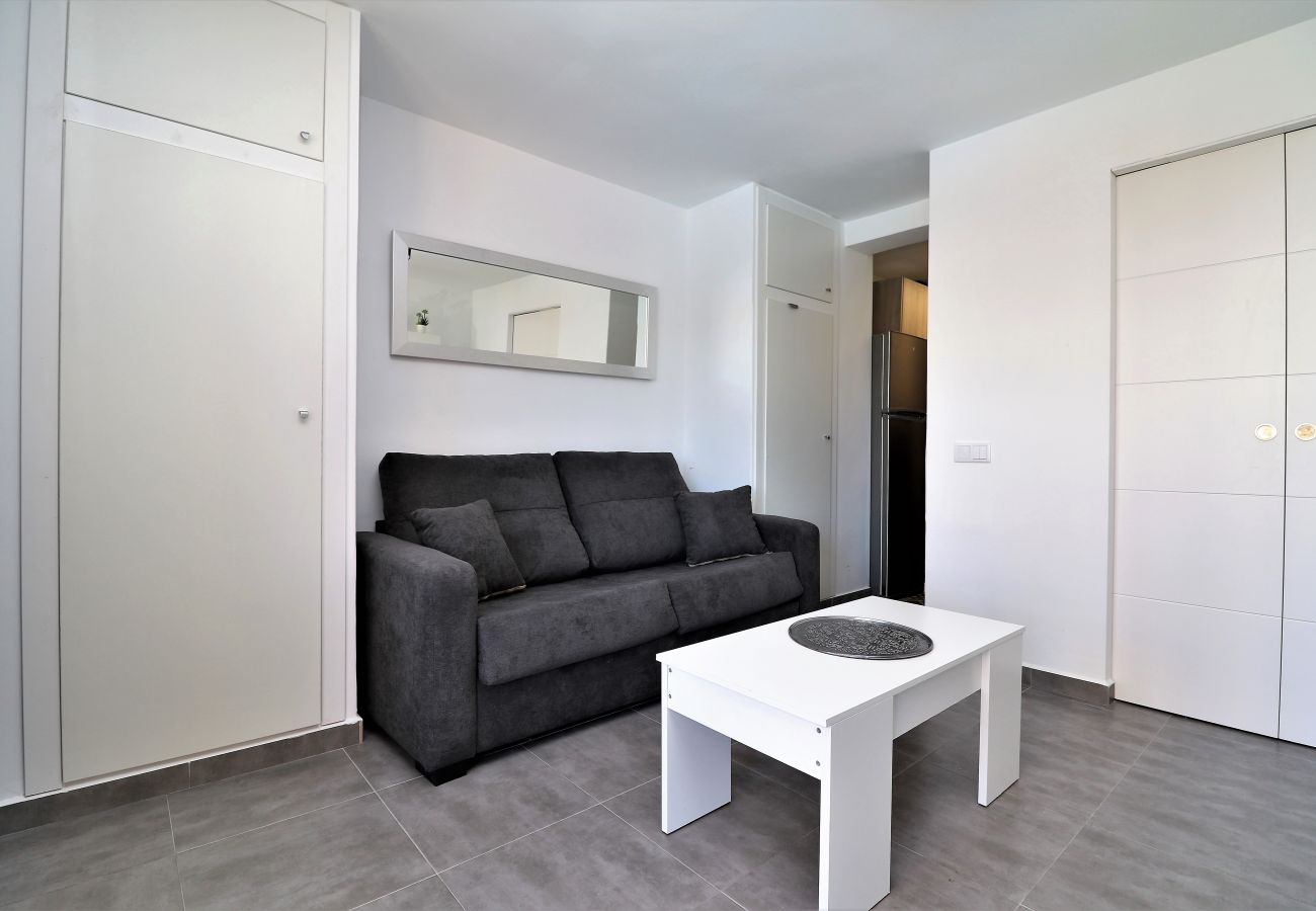 Apartamento en Benidorm - Bermudas 313 Apartamento en Benidorm - Bermudas 313