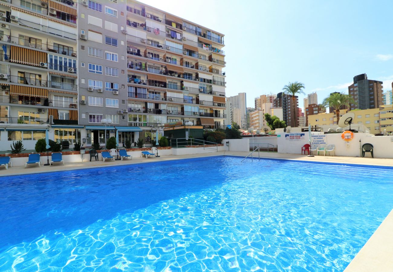 Apartamento en Benidorm - Bermudas 313 Apartamento en Benidorm - Bermudas 313