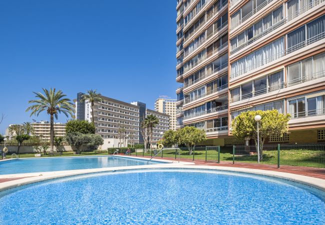 Apartamento en Benidorm -  Lidersol 11-D Apartment Levante Area