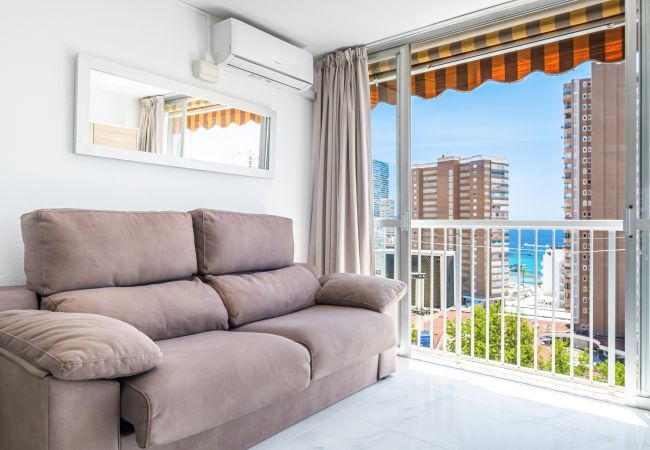 Estudio en Benidorm - Albatros 12-8 Sea Views Levante Beach Estudio en Benidorm - Albatros 12-8 Sea Views Levante Beach