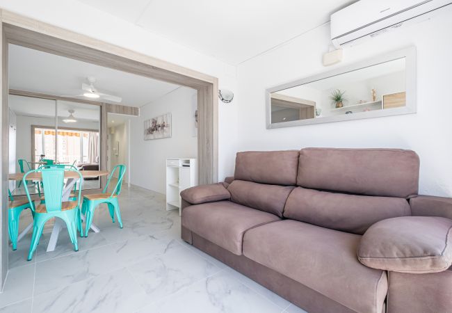 Estudio en Benidorm - Albatros 12-8 Sea Views Levante Beach Estudio en Benidorm - Albatros 12-8 Sea Views Levante Beach