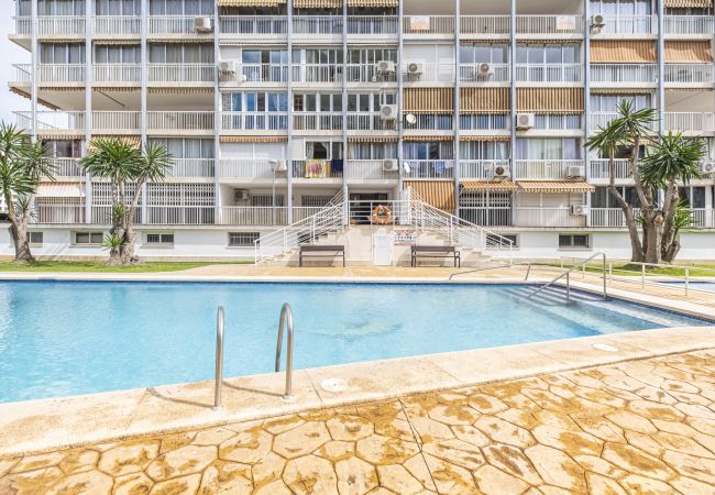 Estudio en Benidorm - Albatros 12-8 Sea Views Levante Beach Estudio en Benidorm - Albatros 12-8 Sea Views Levante Beach