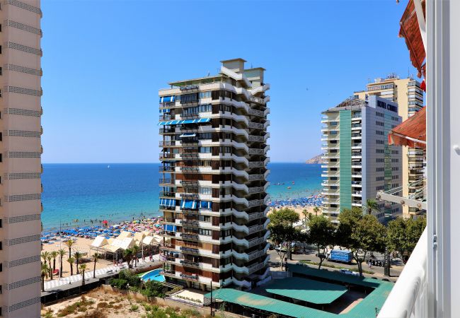 Apartamento en Benidorm - Bacana 9-4 Apartamento en Benidorm - Bacana 9-4