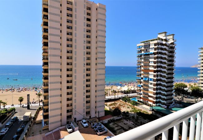 Apartamento en Benidorm - Bacana 9-4 Apartamento en Benidorm - Bacana 9-4