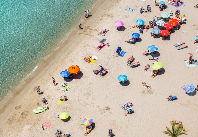 Apartamento en Benidorm - Don Miguel 1 18-A Levante Beach Apartment Apartamento en Benidorm - Don Miguel 1 18-A Levante Beach Apartment