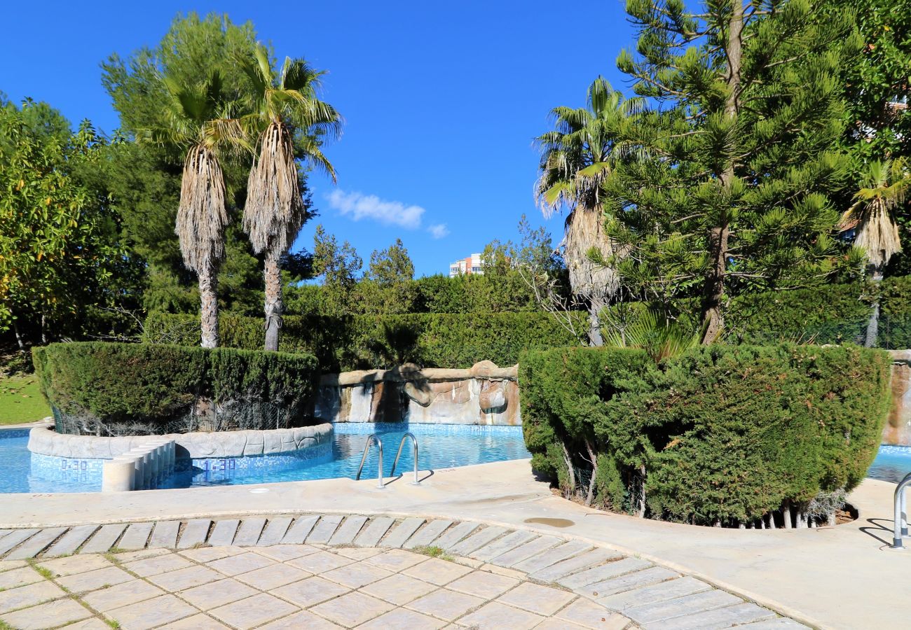 Apartamento en Benidorm - Benibeach 3-2-B Apartment Poniente Beach Apartamento en Benidorm - Benibeach 3-2-B Apartment Poniente Beach