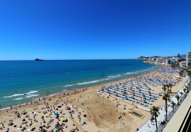 Apartamento en Benidorm - Principado Arena 9-C Levante Beach Apartamento en Benidorm - Principado Arena 9-C Levante Beach