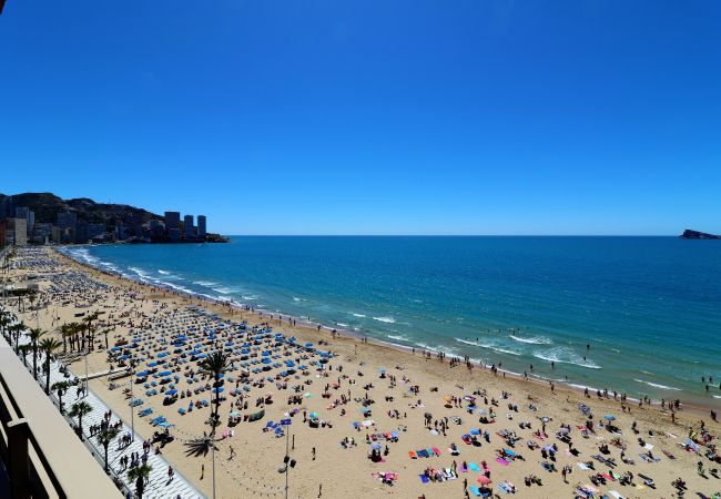 Apartamento en Benidorm - Principado Arena 9-C Levante Beach Apartamento en Benidorm - Principado Arena 9-C Levante Beach