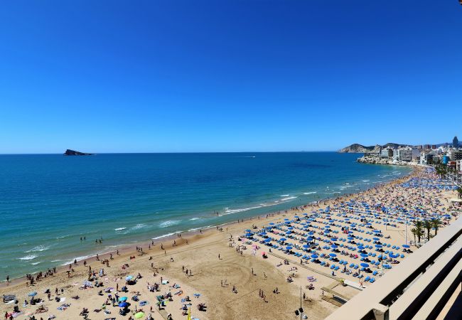 Apartamento en Benidorm - Principado Arena 9-C Levante Beach Apartamento en Benidorm - Principado Arena 9-C Levante Beach