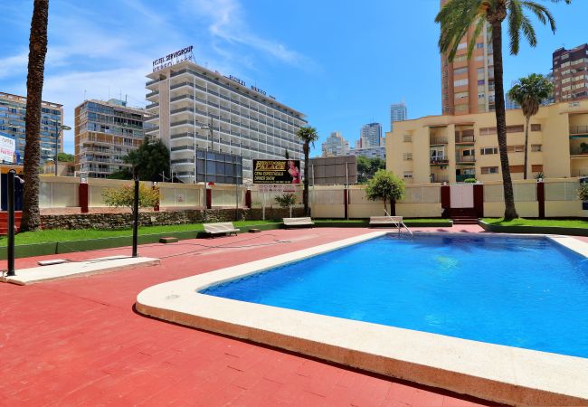 Apartamento en Benidorm - Playmon Virginia 6-3