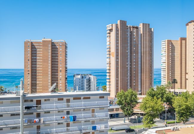 Benidorm - Apartamento