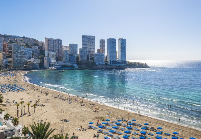 Apartamento en Benidorm -  Copacabana 10-B Apartment Levante Beach Apartamento en Benidorm -  Copacabana 10-B Apartment Levante Beach