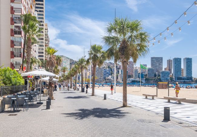 Apartamento en Benidorm -  Copacabana 10-B Apartment Levante Beach Apartamento en Benidorm -  Copacabana 10-B Apartment Levante Beach