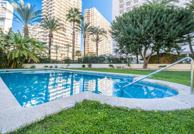 Apartamento en Benidorm -  Waldorff 4-A Levante Beach Apartment