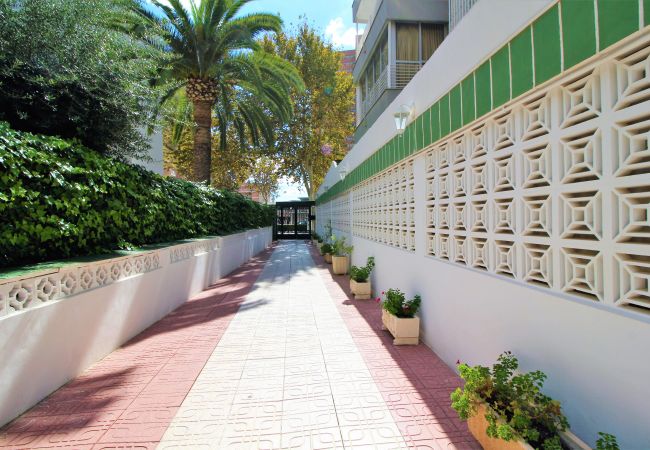 Estudio en Benidorm -  Los Caballos 12-C Levante Beach Estudio en Benidorm -  Los Caballos 12-C Levante Beach