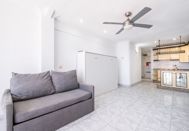 Estudio en Benidorm -  Los Caballos 12-C Levante Beach Estudio en Benidorm -  Los Caballos 12-C Levante Beach