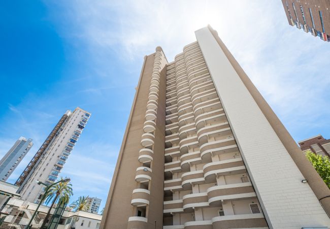 Estudio en Benidorm -  Los Caballos 12-C Levante Beach Estudio en Benidorm -  Los Caballos 12-C Levante Beach