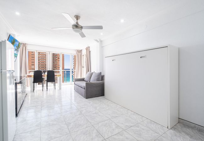 Estudio en Benidorm -  Los Caballos 12-C Levante Beach Estudio en Benidorm -  Los Caballos 12-C Levante Beach