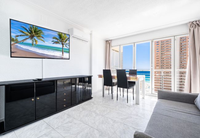 Estudio en Benidorm -  Los Caballos 12-C Levante Beach Estudio en Benidorm -  Los Caballos 12-C Levante Beach