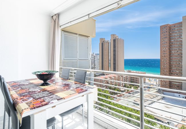 Estudio en Benidorm -  Los Caballos 12-C Levante Beach Estudio en Benidorm -  Los Caballos 12-C Levante Beach