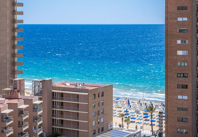 Estudio en Benidorm -  Los Caballos 12-C Levante Beach Estudio en Benidorm -  Los Caballos 12-C Levante Beach
