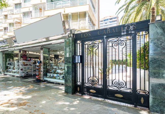 Estudio en Benidorm -  Los Caballos 12-C Levante Beach Estudio en Benidorm -  Los Caballos 12-C Levante Beach