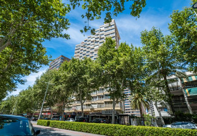 Estudio en Benidorm -  Los Caballos 12-C Levante Beach Estudio en Benidorm -  Los Caballos 12-C Levante Beach