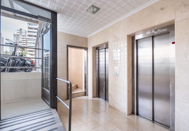 Estudio en Benidorm -  Los Caballos 12-C Levante Beach Estudio en Benidorm -  Los Caballos 12-C Levante Beach