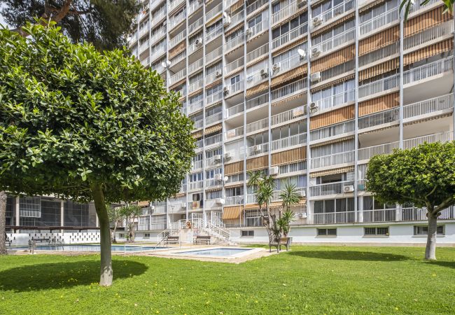 Apartamento en Benidorm - Albatros 2-7 Apartment Levante Beach Apartamento en Benidorm - Albatros 2-7 Apartment Levante Beach