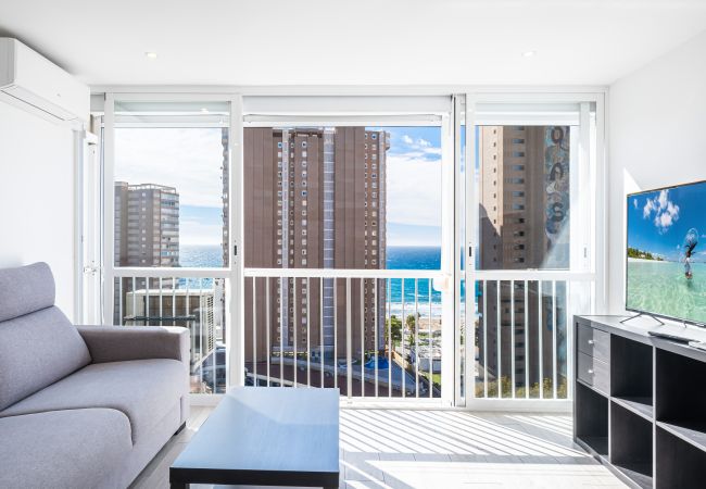 Estudio en Benidorm -  Albatros 14-10 Estudio Levante Beach Estudio en Benidorm -  Albatros 14-10 Estudio Levante Beach