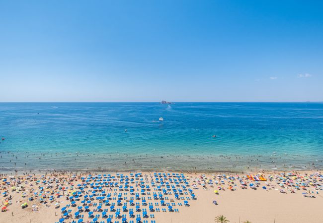 Apartamento en Benidorm -  Santa Margarita Deluxe 14-C Levante Beach Apartamento en Benidorm -  Santa Margarita Deluxe 14-C Levante Beach