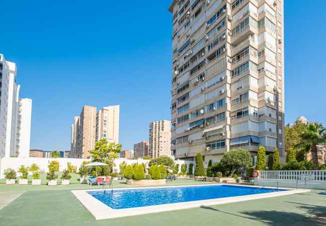 Apartamento en Benidorm - Torre Domo 9-D Levante Beach Apartamento en Benidorm - Torre Domo 9-D Levante Beach