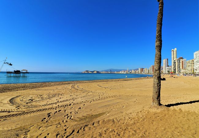 Apartamento en Benidorm - Don Miguel 2-A Apartment Levante Beach Apartamento en Benidorm - Don Miguel 2-A Apartment Levante Beach