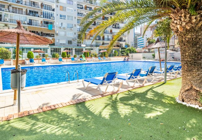 Apartamento en Benidorm - Bermudas 401 Apartment Levante-Rincón de Loix Area Apartamento en Benidorm - Bermudas 401 Apartment Levante-Rincón de Loix Area